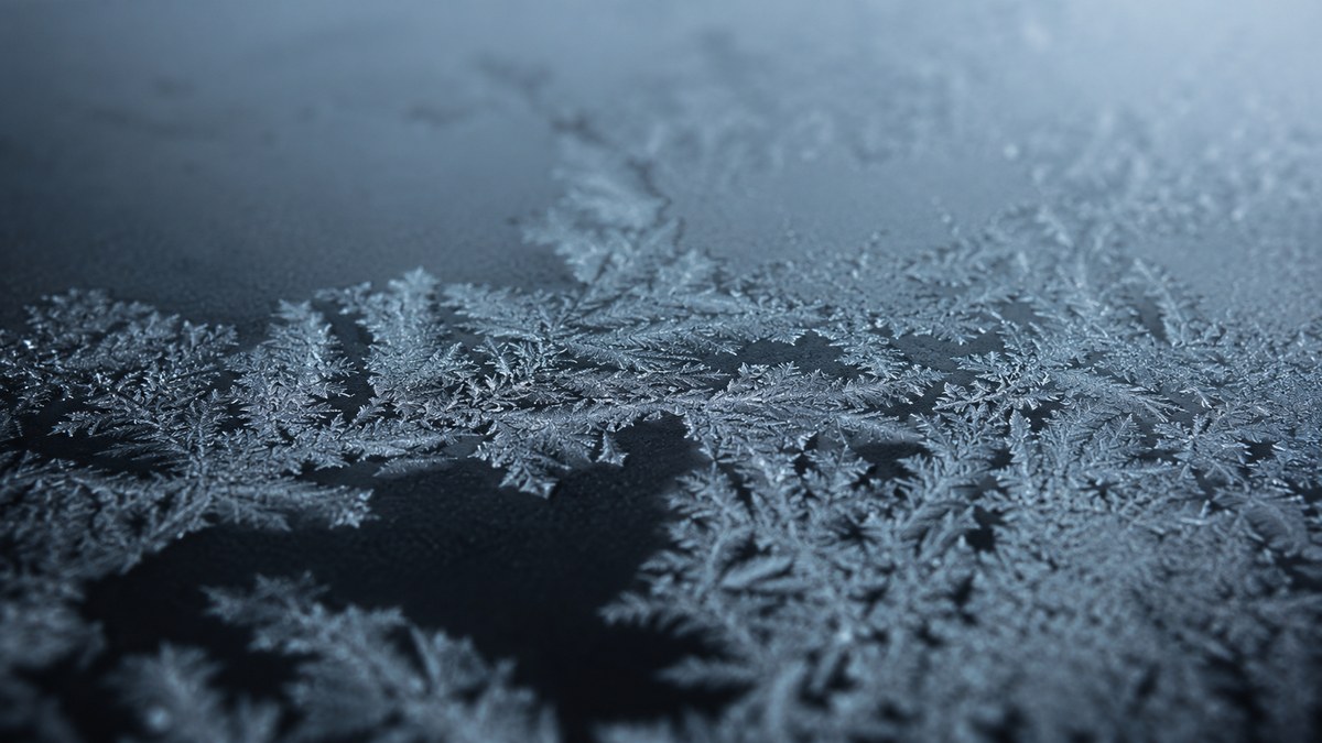 暗い面に細かな枝状の結晶が静かに広がっているイメージ